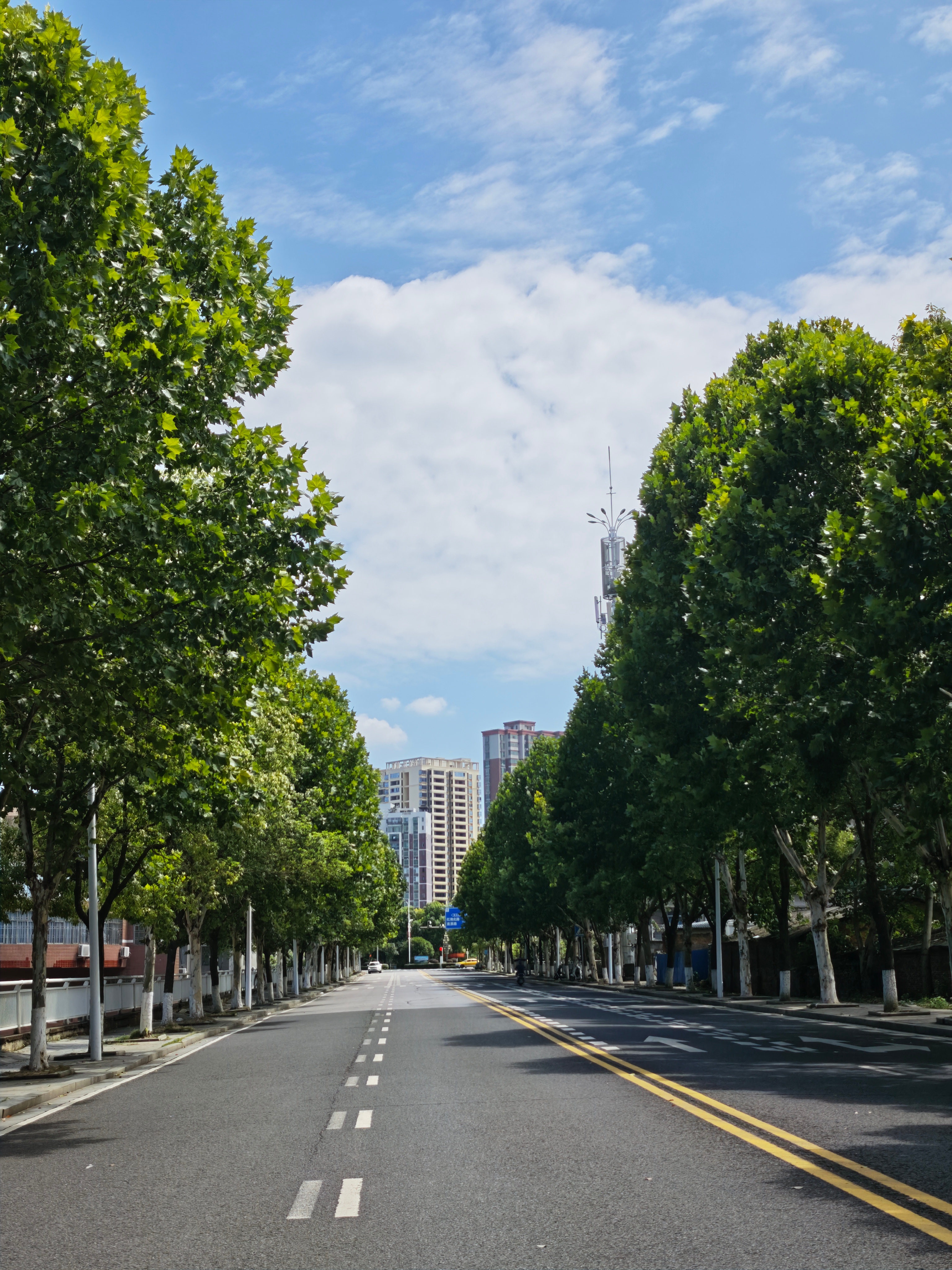 真的，这些都是我这两天拍的[打call] ​​​