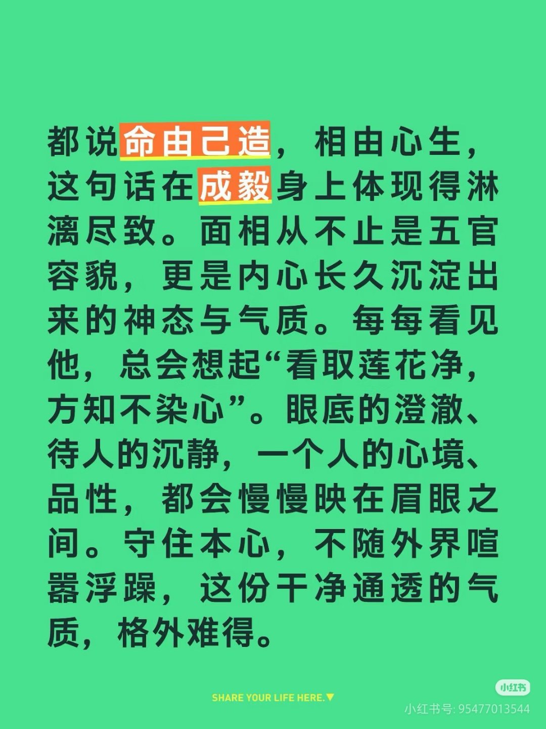 成毅是去娱乐圈修心的，我等了这么多年遇到的真命偶像，我也是来内娱粉圈修行的，为了我的淇淇可以忍之享之 ​