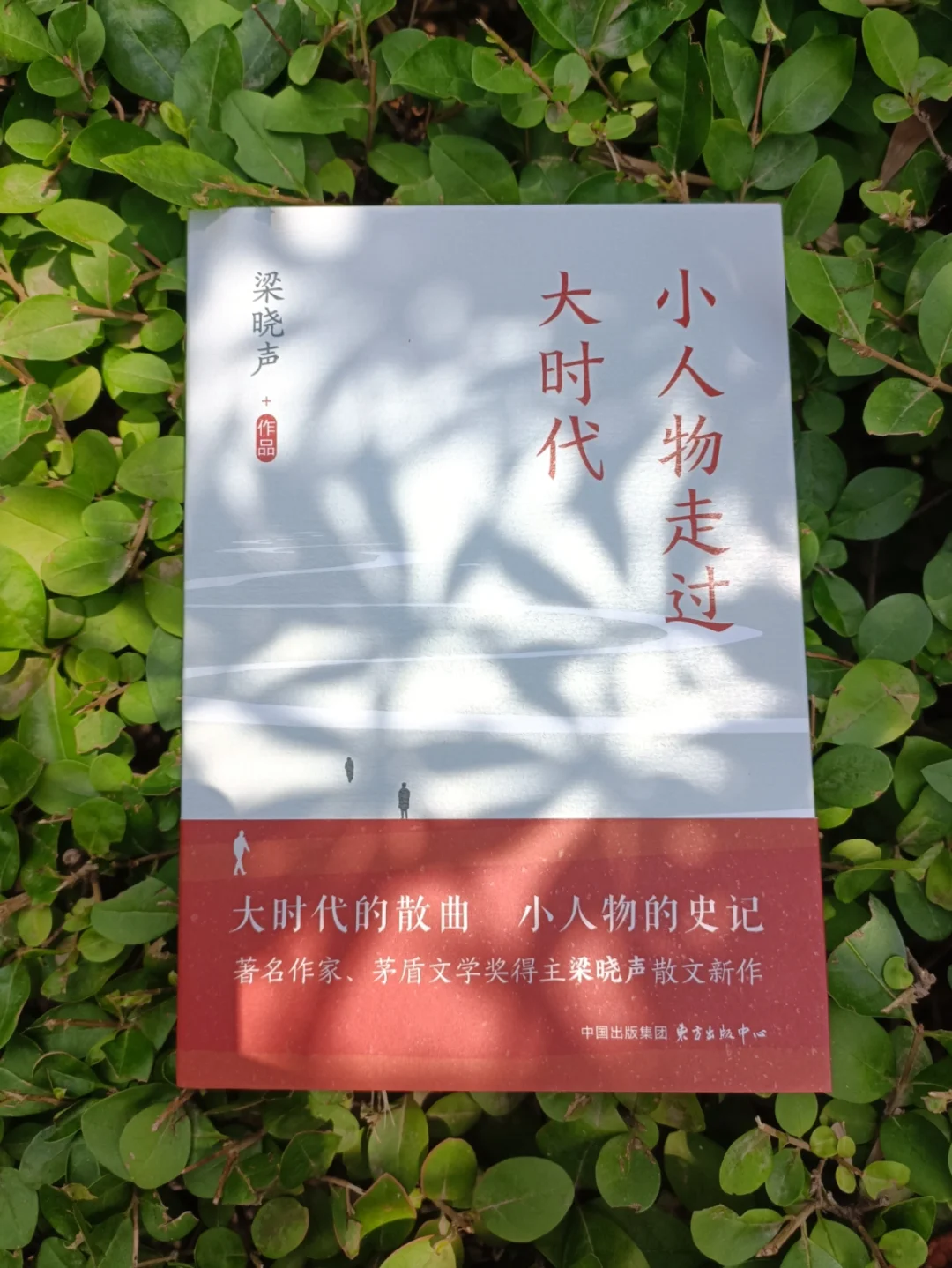 这本书像一面镜子，可以照出我们这一生