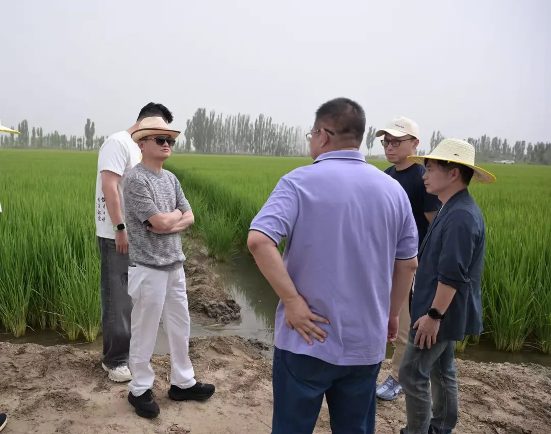 多位网友在甘肃、新疆偶遇马云！看着很亲和