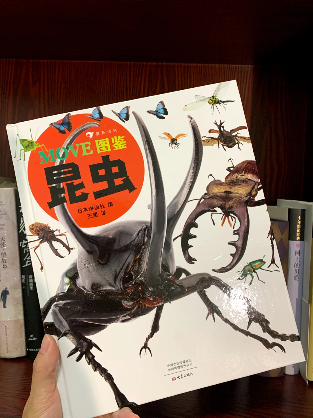 💡《昆虫图鉴》一本关于昆虫的百科全书