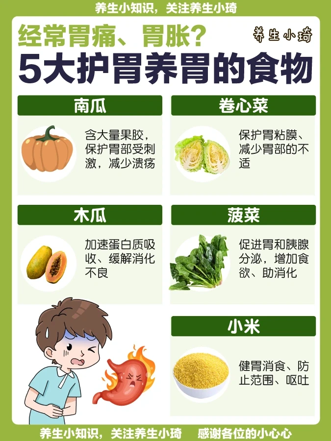 胃部不适 经常胃胀｜5大护胃养胃食物🌟