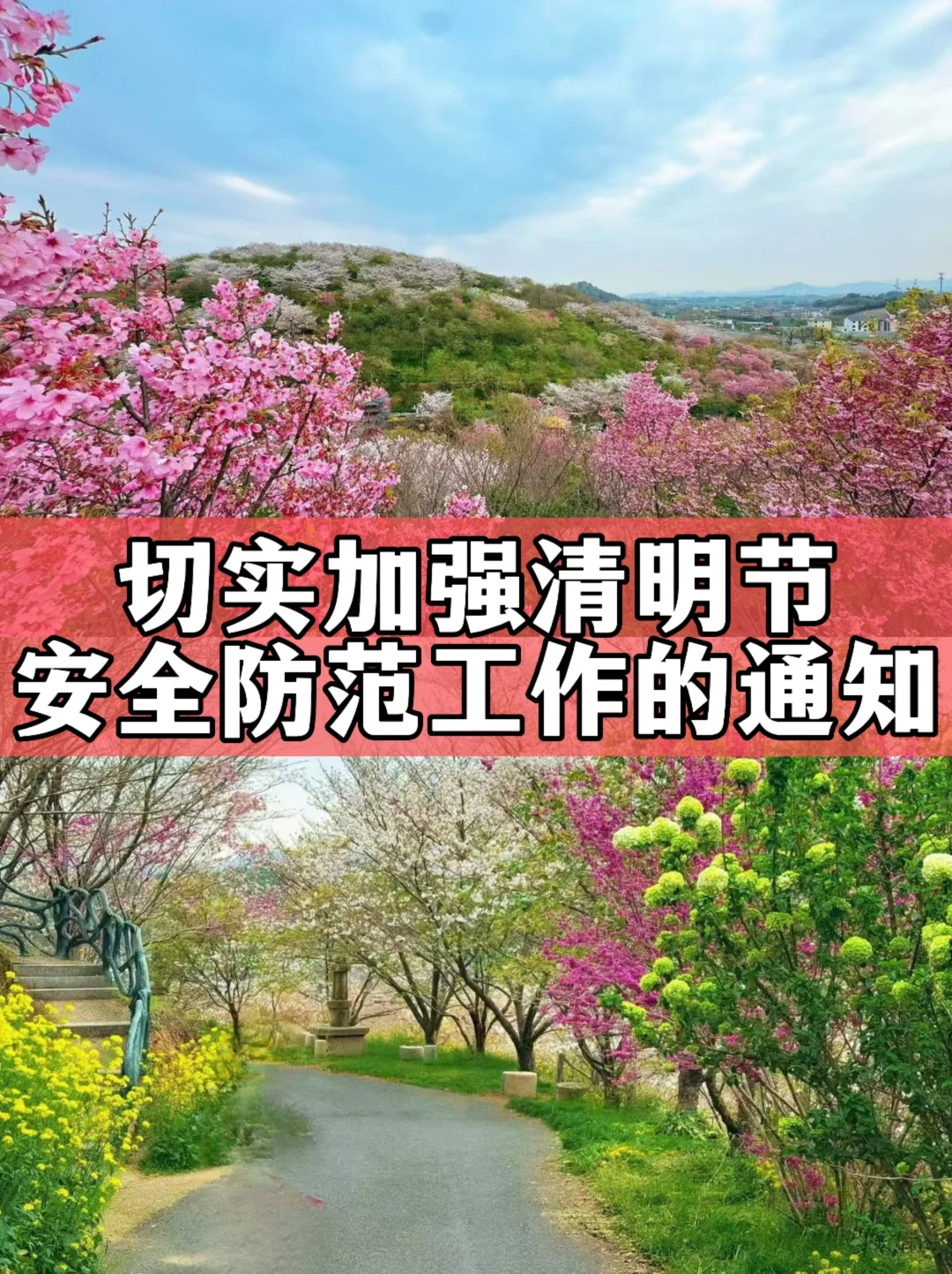 体制内：切实加强清明节安全防范工作的通知