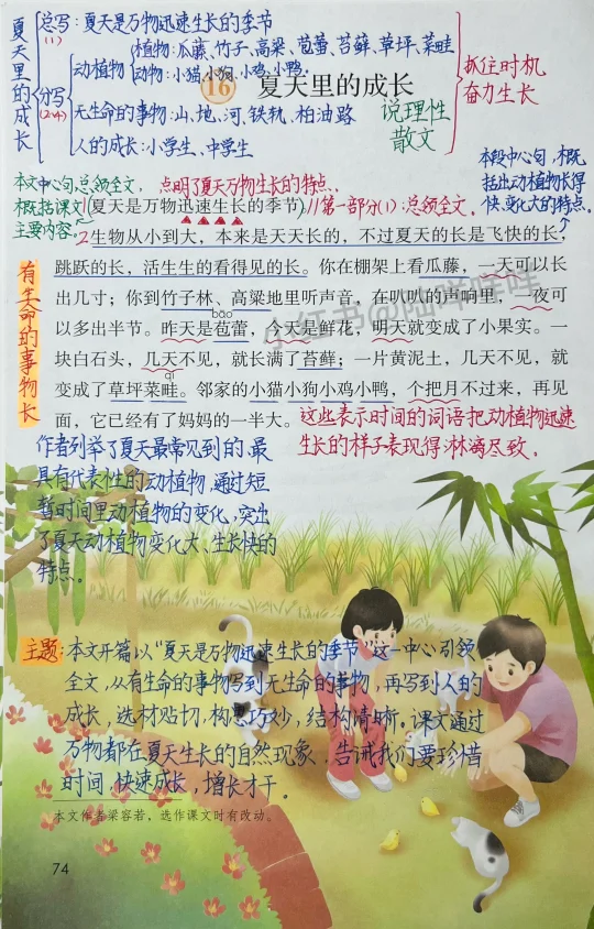 六上语文第16课《夏天里的成长》课堂笔记