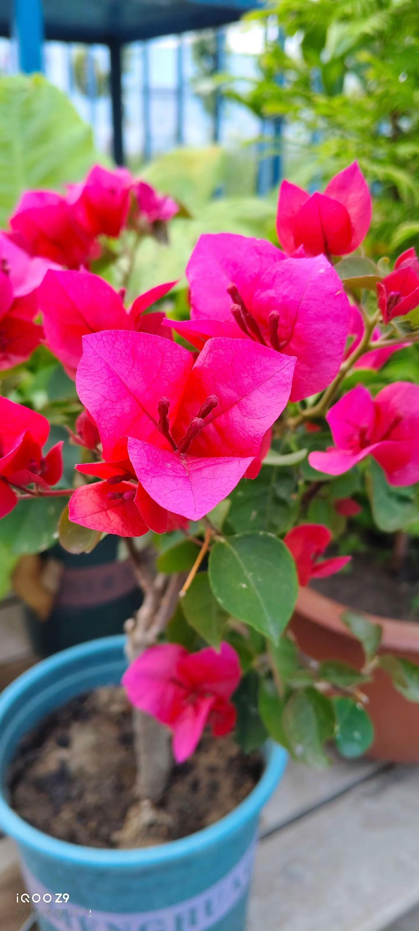 <p>仔细听细节 人类迷惑行为  <!--{img:0}--><!--...