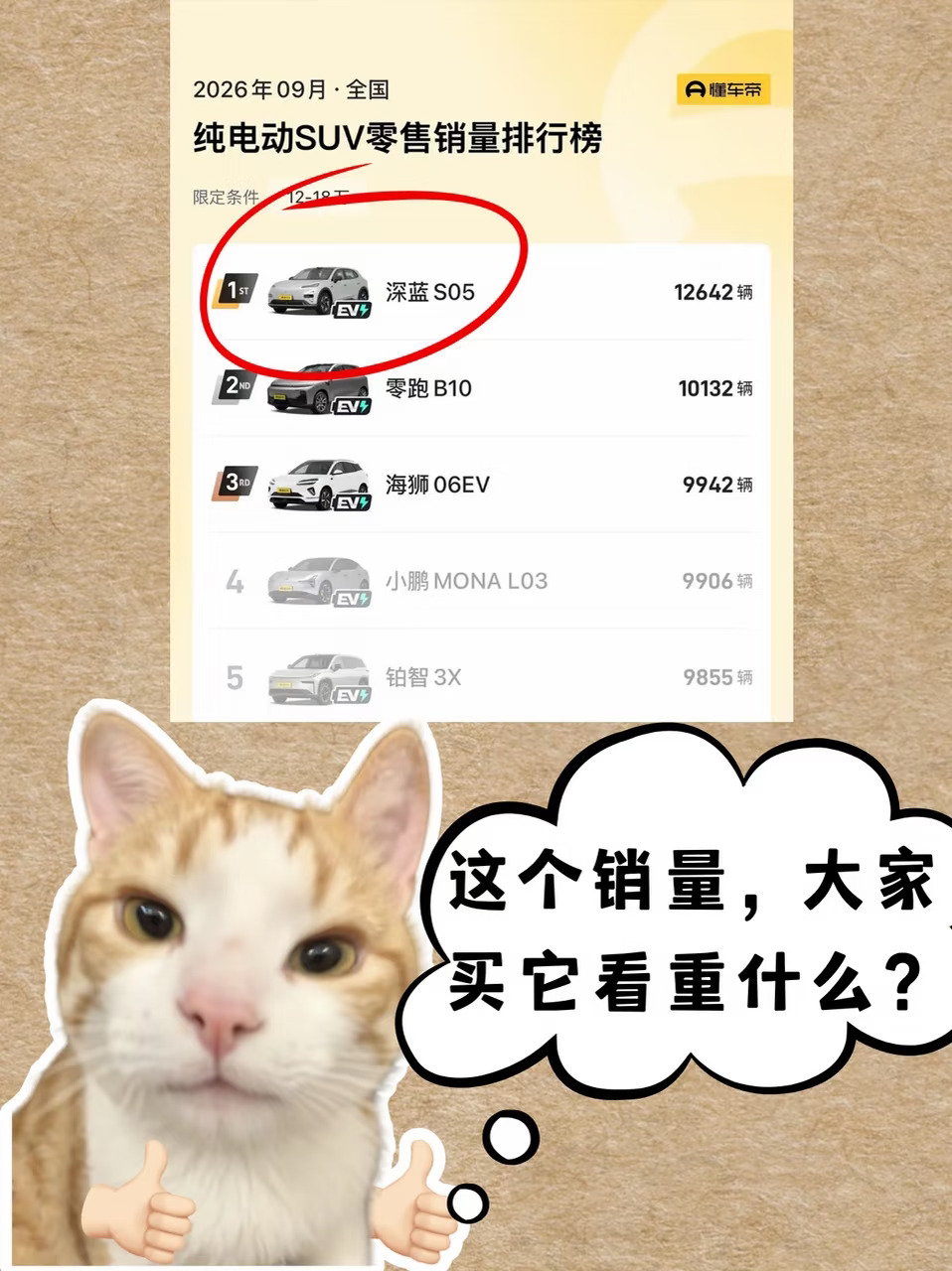 15万级SUV销量霸榜，这届车主图深蓝S05什么