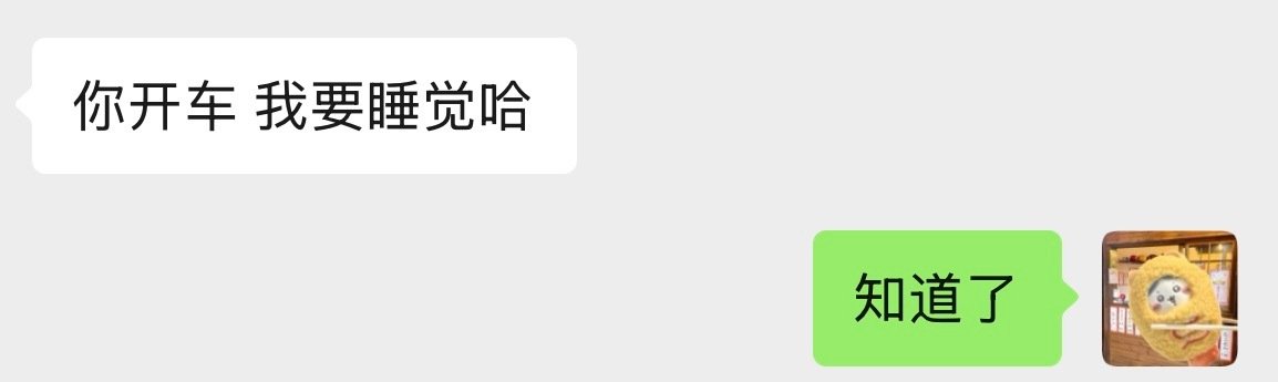 我是司机，我是代驾[柯基] ​