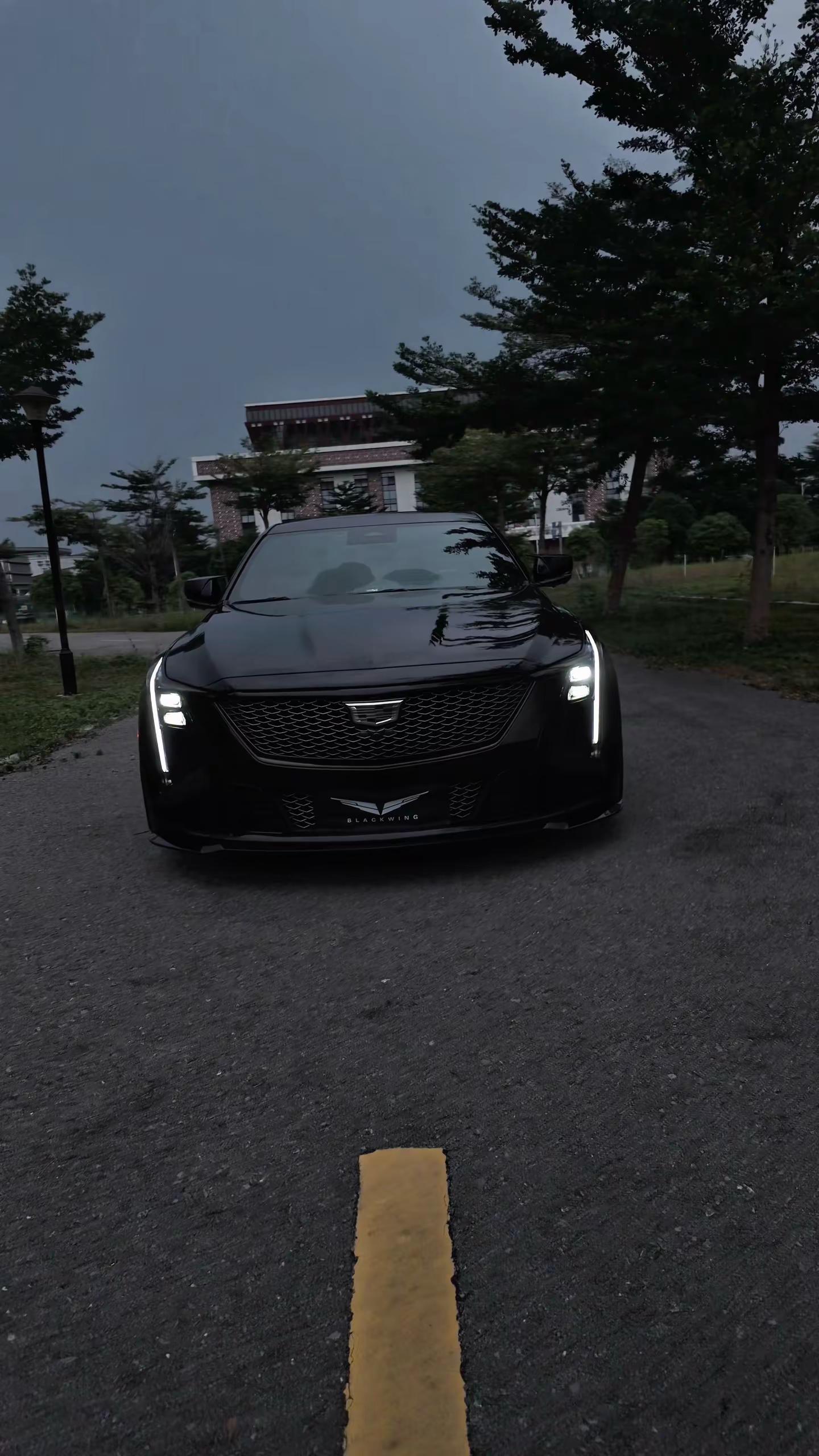 26个字母我只认识“CADILLAC”凯迪拉克 凯迪拉克ct5