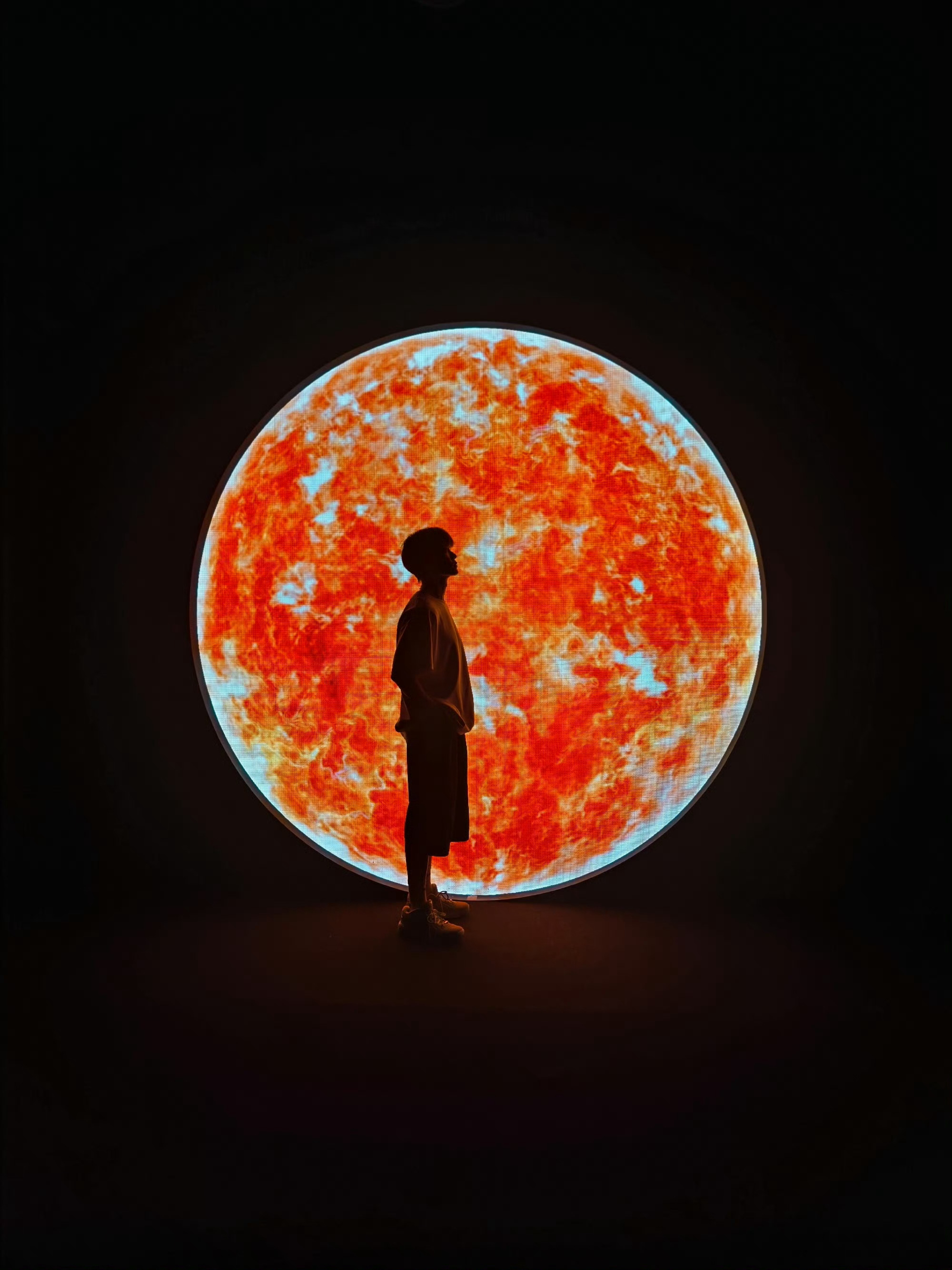 我可能会撞上流星，我的宇宙飞船可能会耗光燃料。 我也要踏上这段旅程赌上...