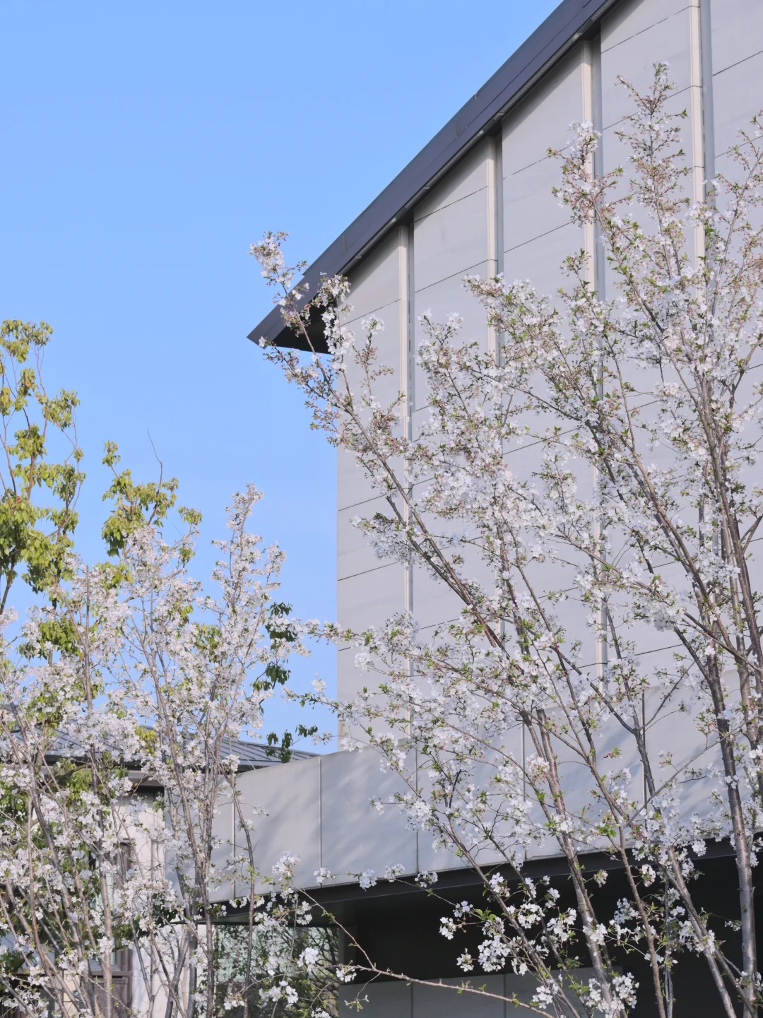 都不白来，襄阳洲际一天堪比徒步