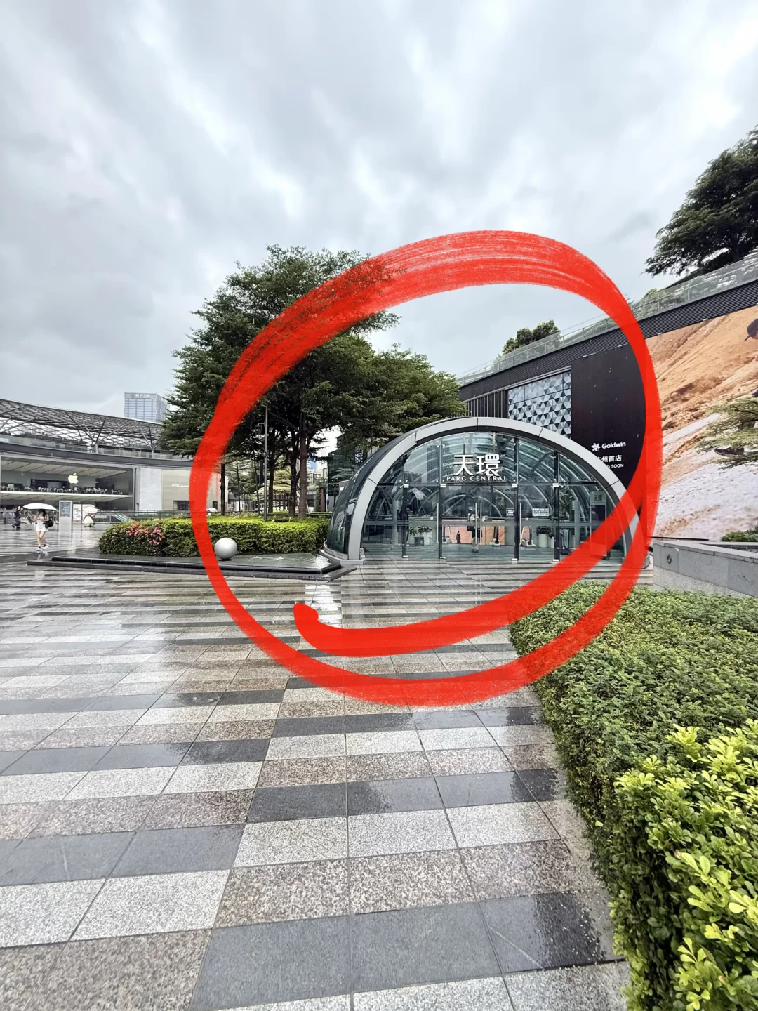 ⚠️天环。。新的。。新的⚠️