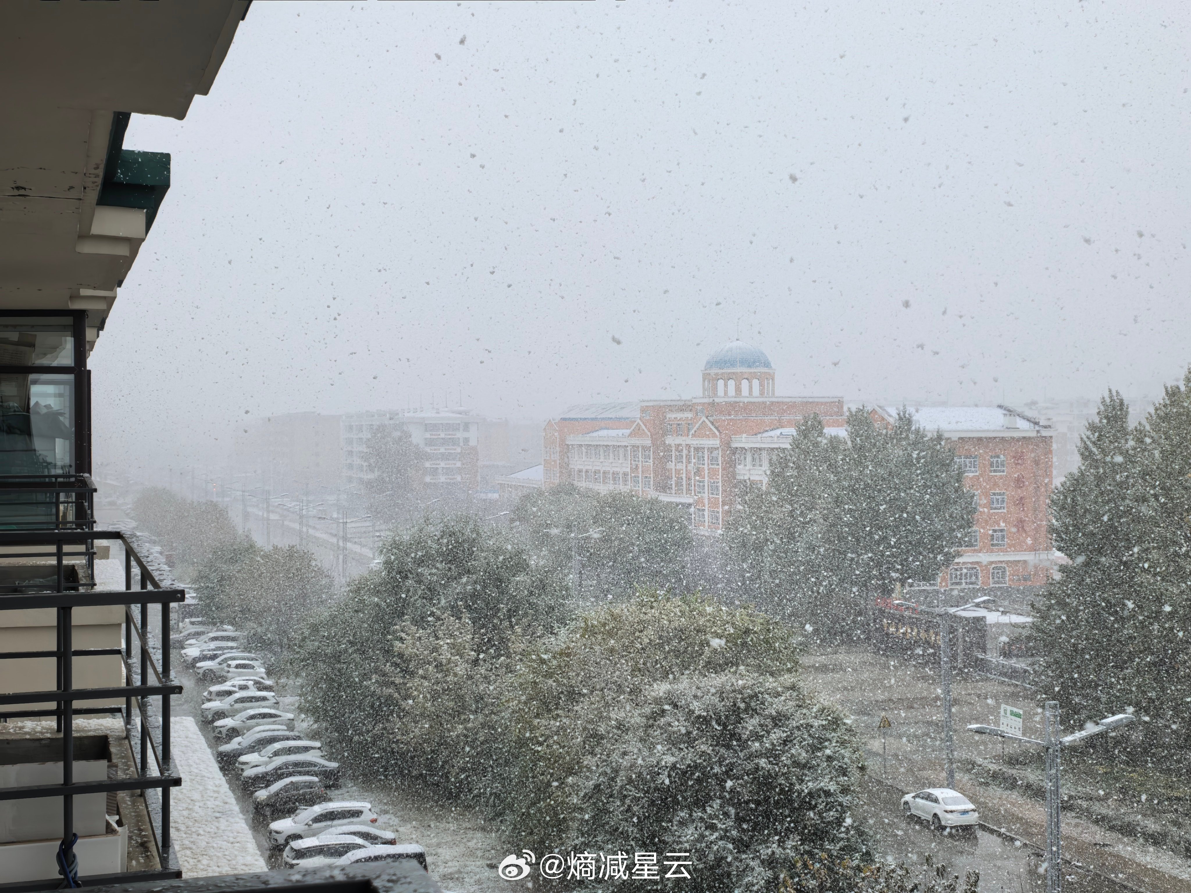 鹤岗初雪，比往年来得早了些。较之常年，今年初雪日提前约十天。

十天，于岁月不过一瞬，却足以让一场雪带着惊喜，撞进北国的深秋。第一片雪花掠过煤城天空，轻轻落在老街屋檐，整座城市仿佛一夜之间读懂了冬天的耳语。树叶尚未落尽，雪已悄然而至，金黄与洁白交织。

早来的雪，像一场提前赴约的浪漫 ​