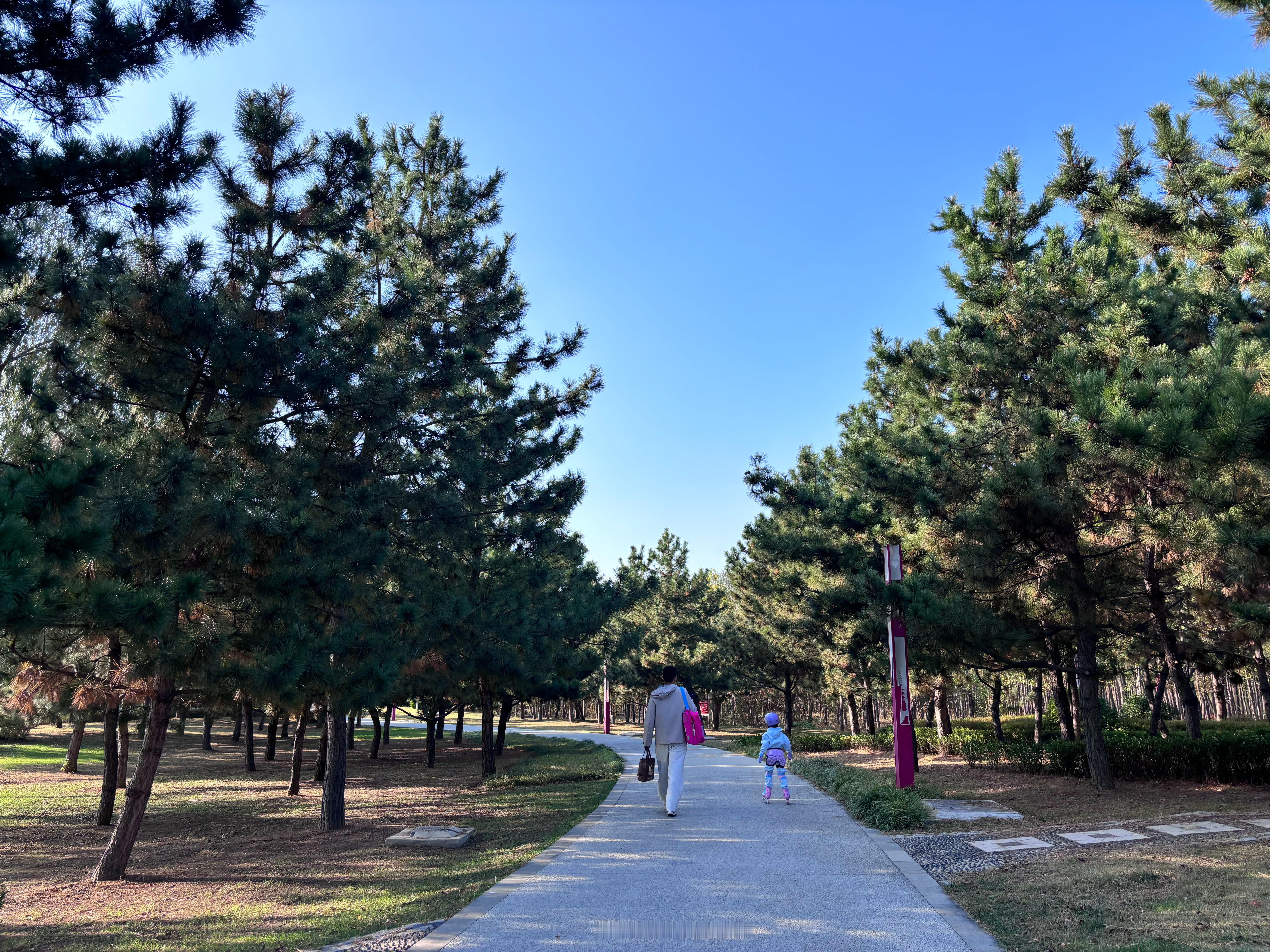 今天从「羊亭公园」2期滑过来发现了崭新的秋天🍂不同角度看世界处处是惊喜酱心的周末生活 威海·羊亭河湿地公园