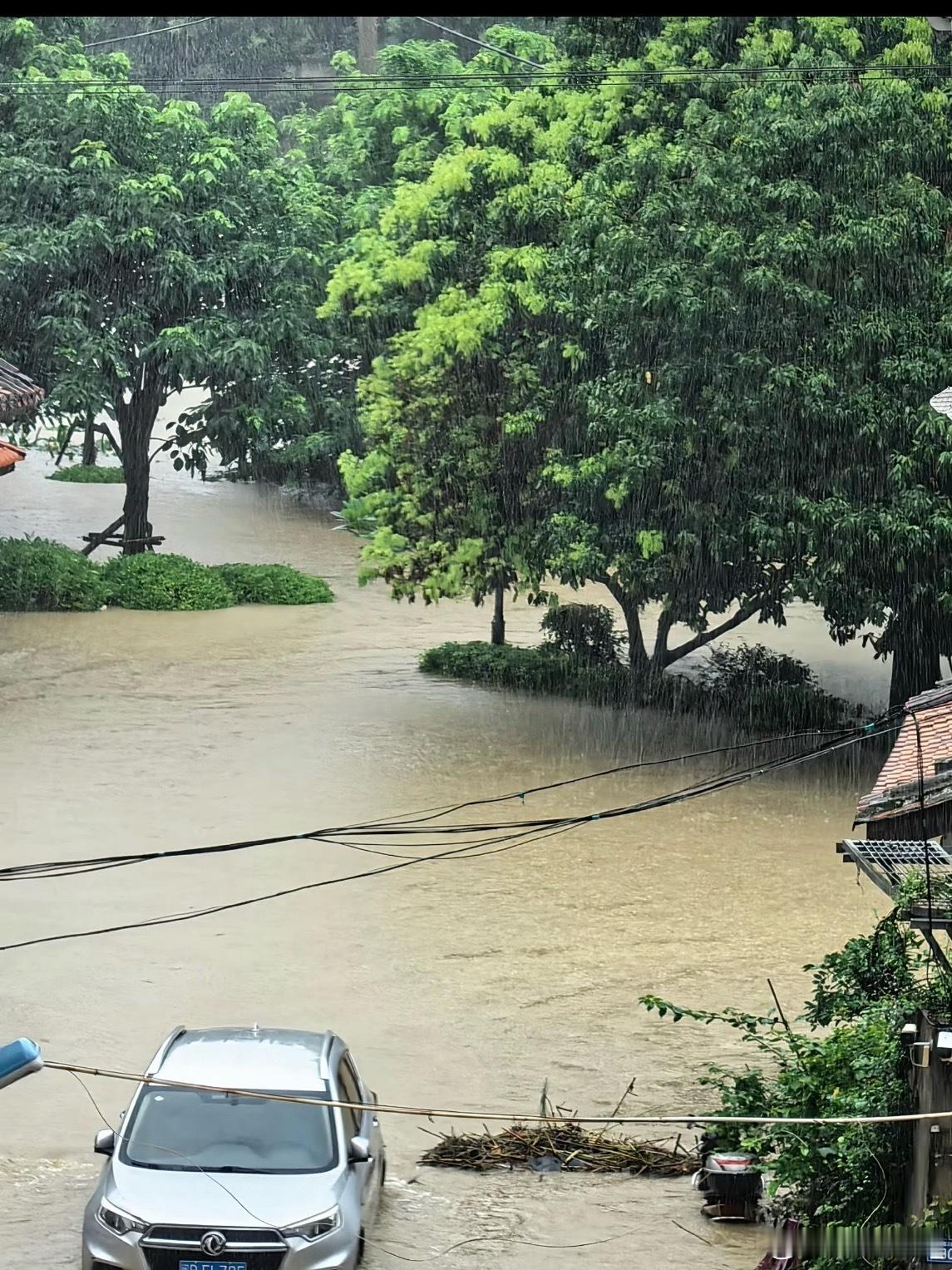 #福建莆田洪水已淹到大腿#
莆田这场暴雨⛈️实在太猛烈，单日降雨量达到400多毫米，木兰溪水位超出历史最高纪录两米多，灾情触目惊心。涵江区积水深及大腿、胸口，荔城区老旧房屋接连坍塌，两三分钟就倒下一间，看得人揪心不已！

比起宏大的灾情报道，一些细碎的画面更加打动人心。消防员蹚着齐腰洪水 ​