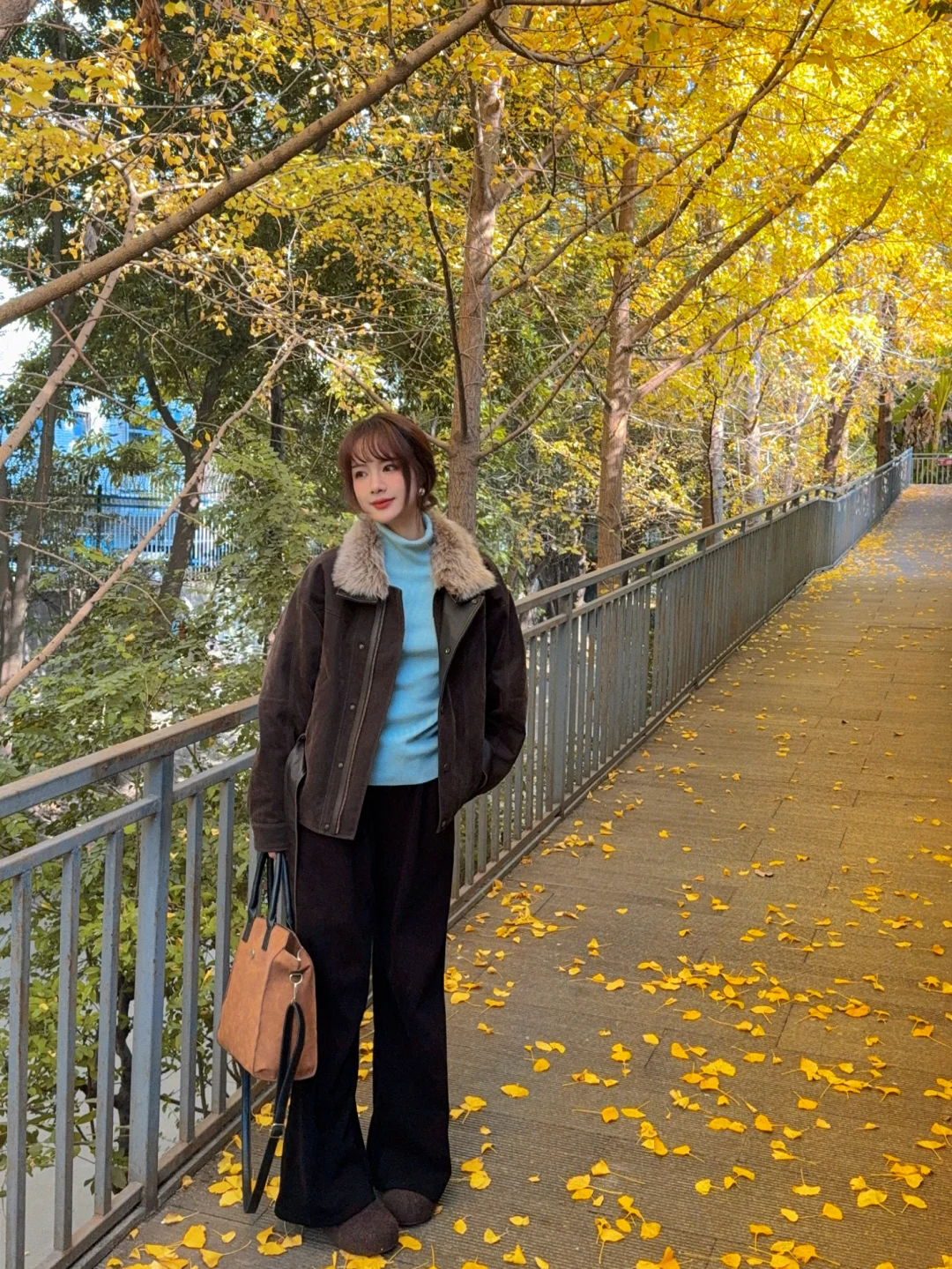 成都银杏浓度已达100%🍂