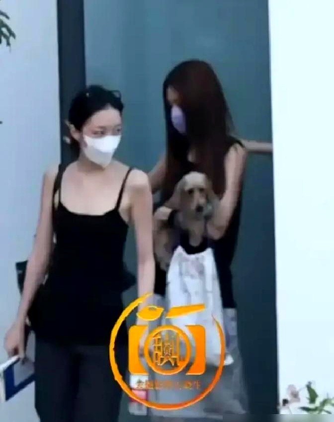 大理街头，窦靖童随手帮李嫣扯了扯衣领，旁边还站着宋妍霏。

三个人随意走在街头遛狗，有说有笑。李嫣双手插兜，那股清冷劲儿简直跟她妈共用一张脸。宋妍霏早跟她们处成了闺蜜，连王菲的私人生日宴都在场。

这种松弛感背后，藏着王菲的放养哲学。她从不干涉女儿交友，不管穿衣打扮，从小到大只给一条底线，言行有分寸