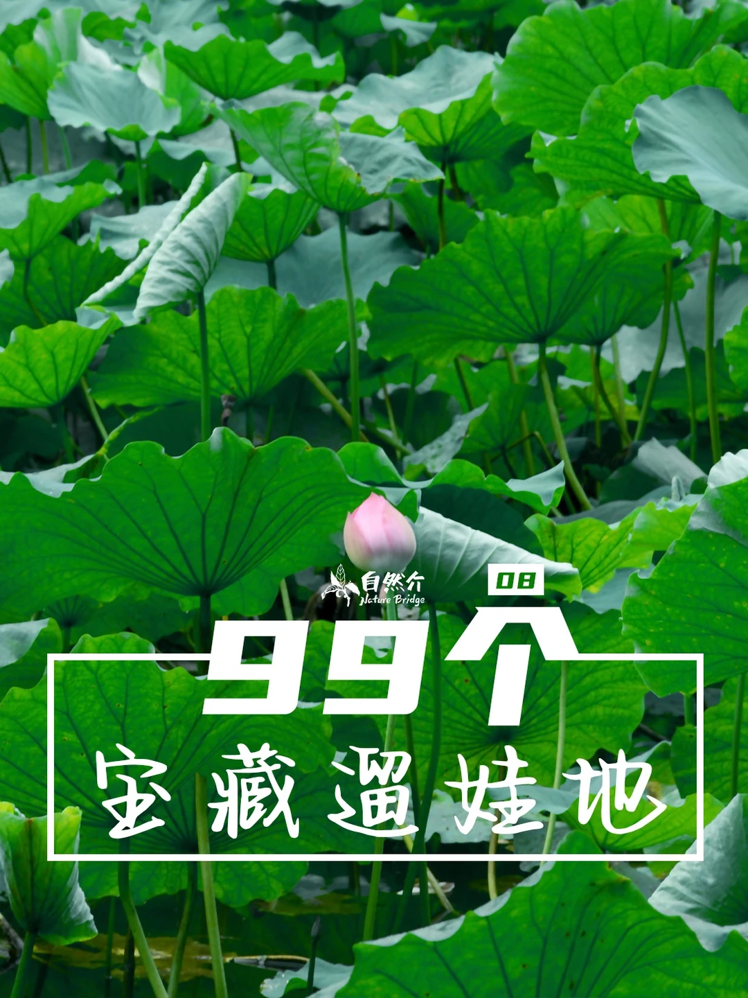 打卡99个宝藏遛娃地-华岩寺