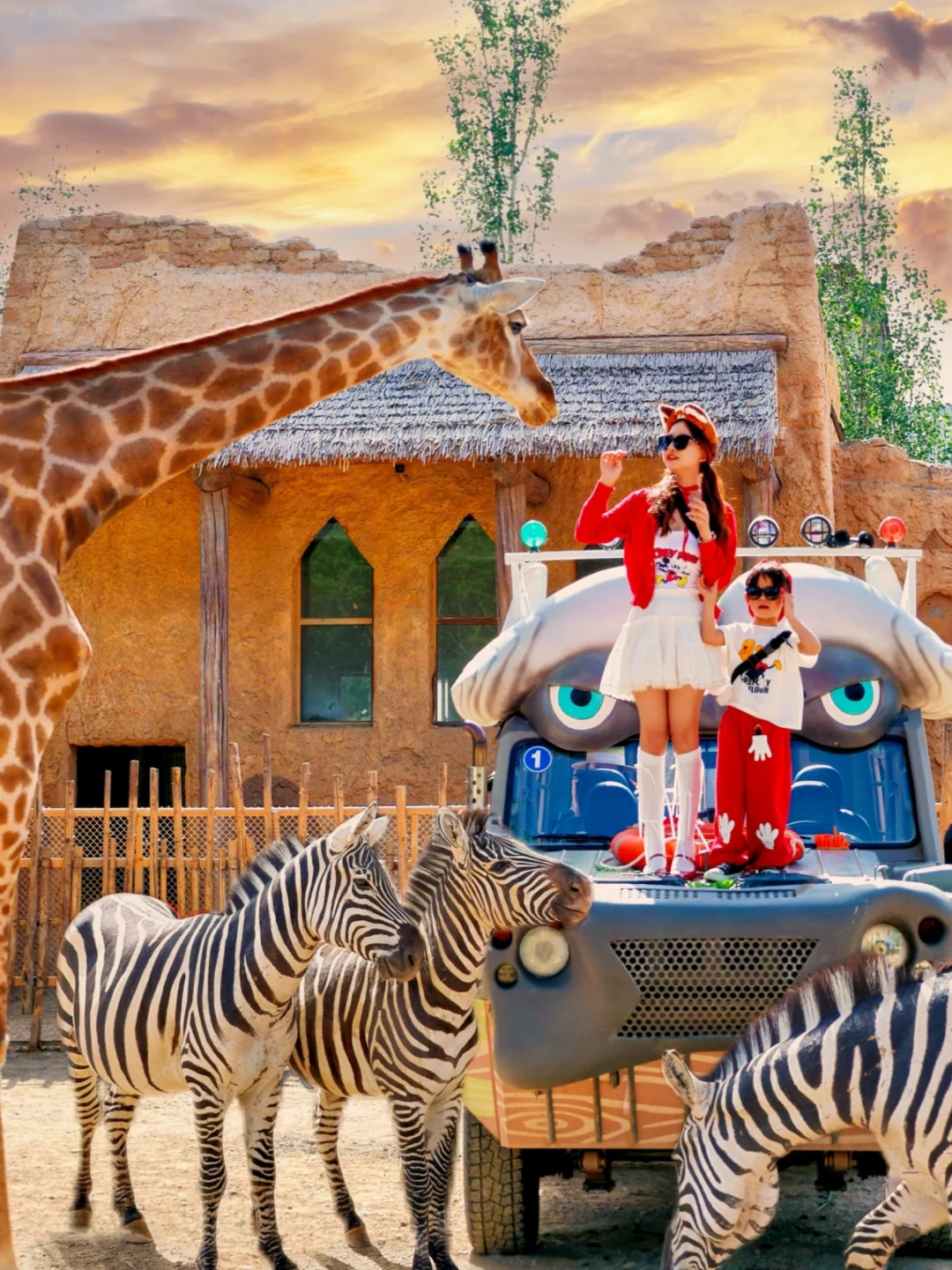 没出国‼️住进现实版疯狂动物城🦒不废腿攻略