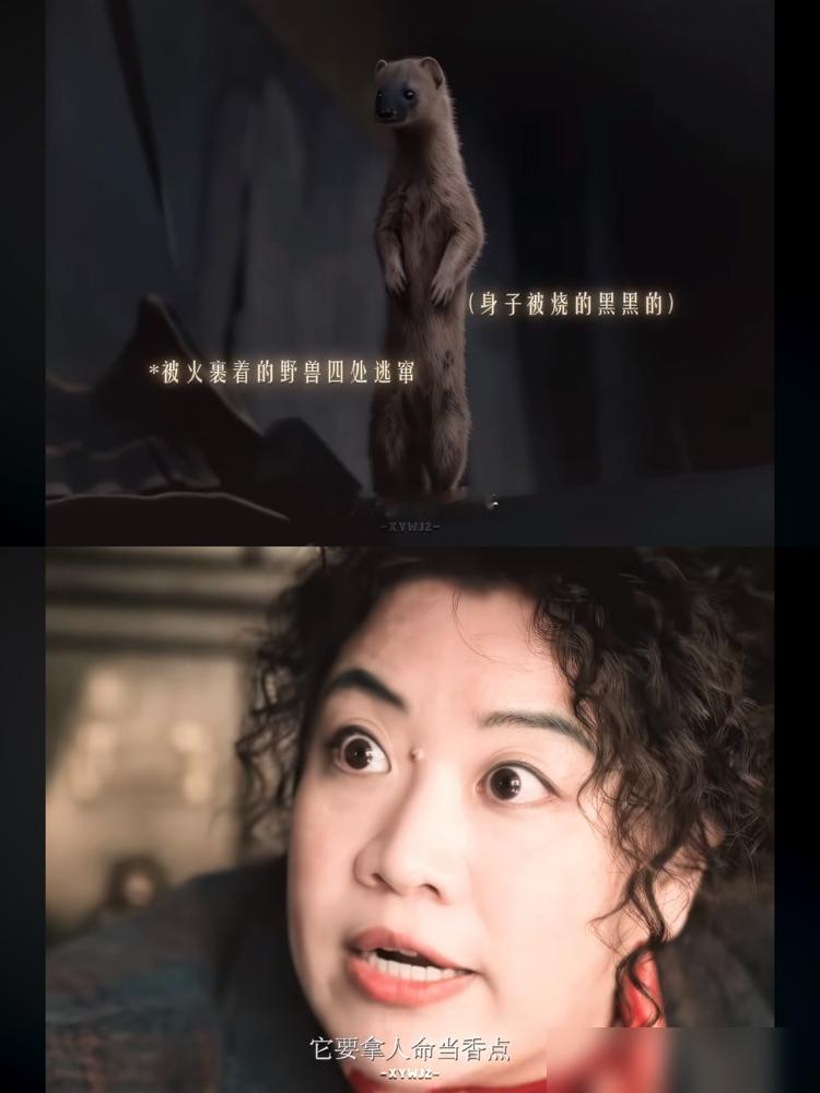 二刷《余红旧事》才看懂，刘阳从火场回来，压根没活。
他对着镜子练笑，练得满脸褶子堆起来，像往脸上贴了层画皮。镜头一扫，满身焦黑的毛，大衣底下鼓鼓囊囊，不知道塞的是钱还是别的什么。
原著我没少翻。班宇写的是下岗潮里，一帮人在废墟上硬撑，三眼儿死了，姐姐郝洁疯了，全靠我半真半假地讲。可剧里直接把底牌