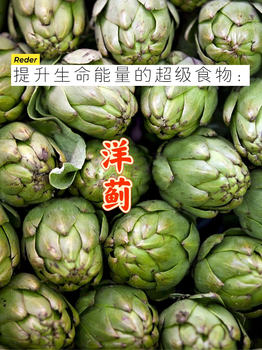 打开心轮的神奇食物：洋蓟