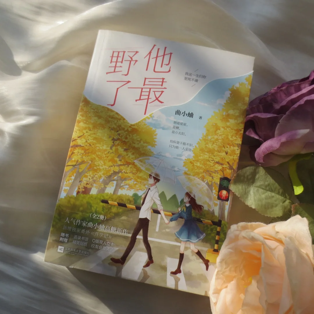曲小蛐的书，从不让人失望！《他最野了》