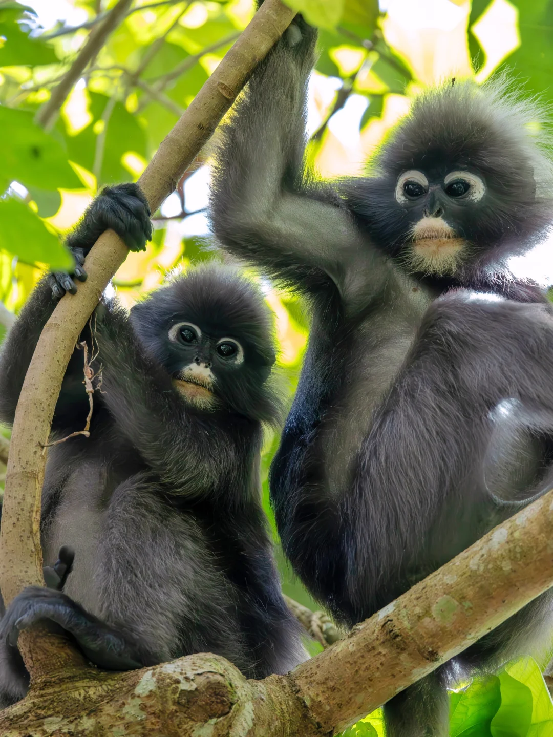 超温柔有优雅气质的