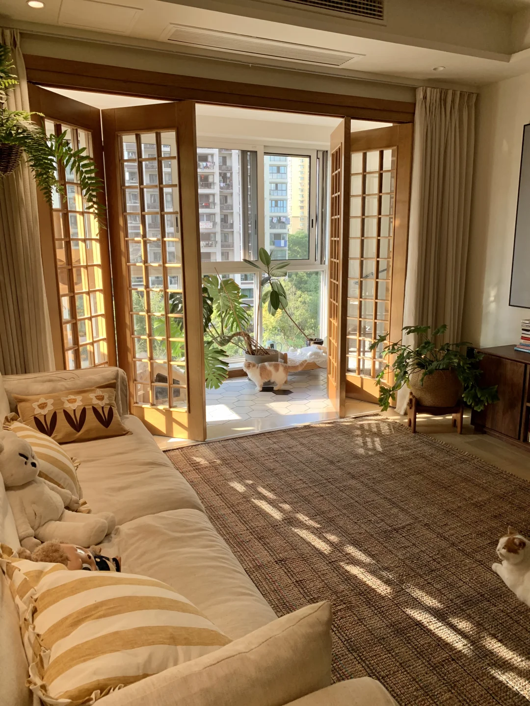 住进这样的阳光小屋还有什么烦恼呢~🐱🍃