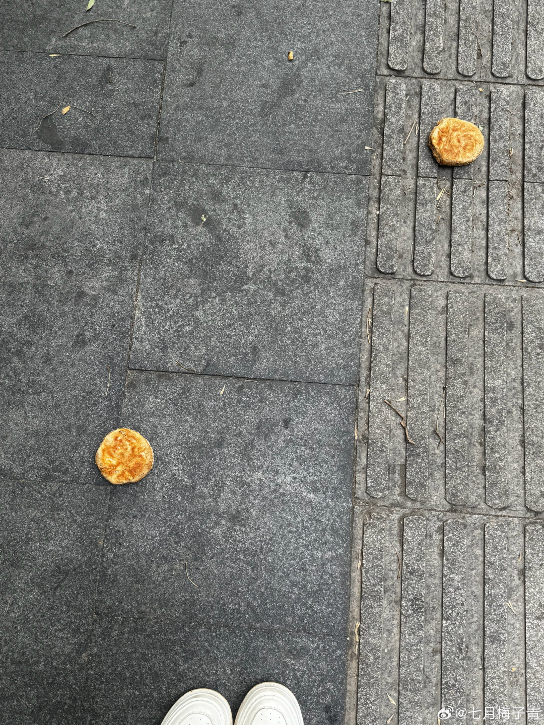 天…天上掉馅饼啦～好想捡#别吹沪币了看看夏威夷物价# ​