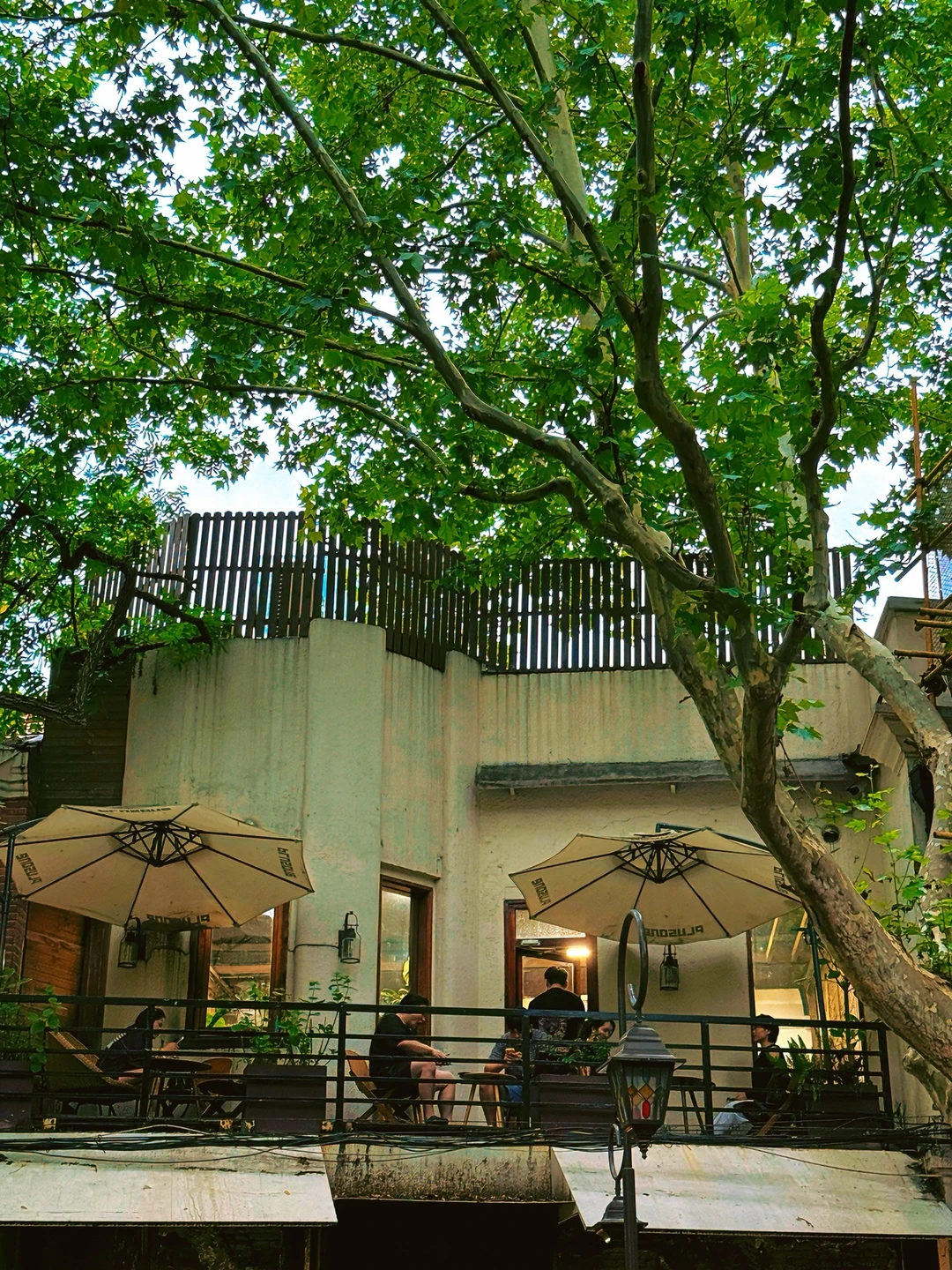 Live图 | 分享一些上海夏天很chill的瞬间🍃