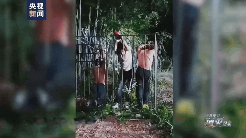  《7万欠条抵一个肾》
央视纪录片曝光！缅北那句“你的肾配型成功了”，听得人后背发凉……

最近看了央视和公安部合拍的《缅北电诈覆灭纪实》，里面唐某丰的自述，看得我浑身冒冷汗。
 
他当初轻信高薪诱惑偷渡过去，在园区完不成业绩，背上了7万块的欠条。


后来有人跟他说：你的肾配型成功了。
就这么被拉