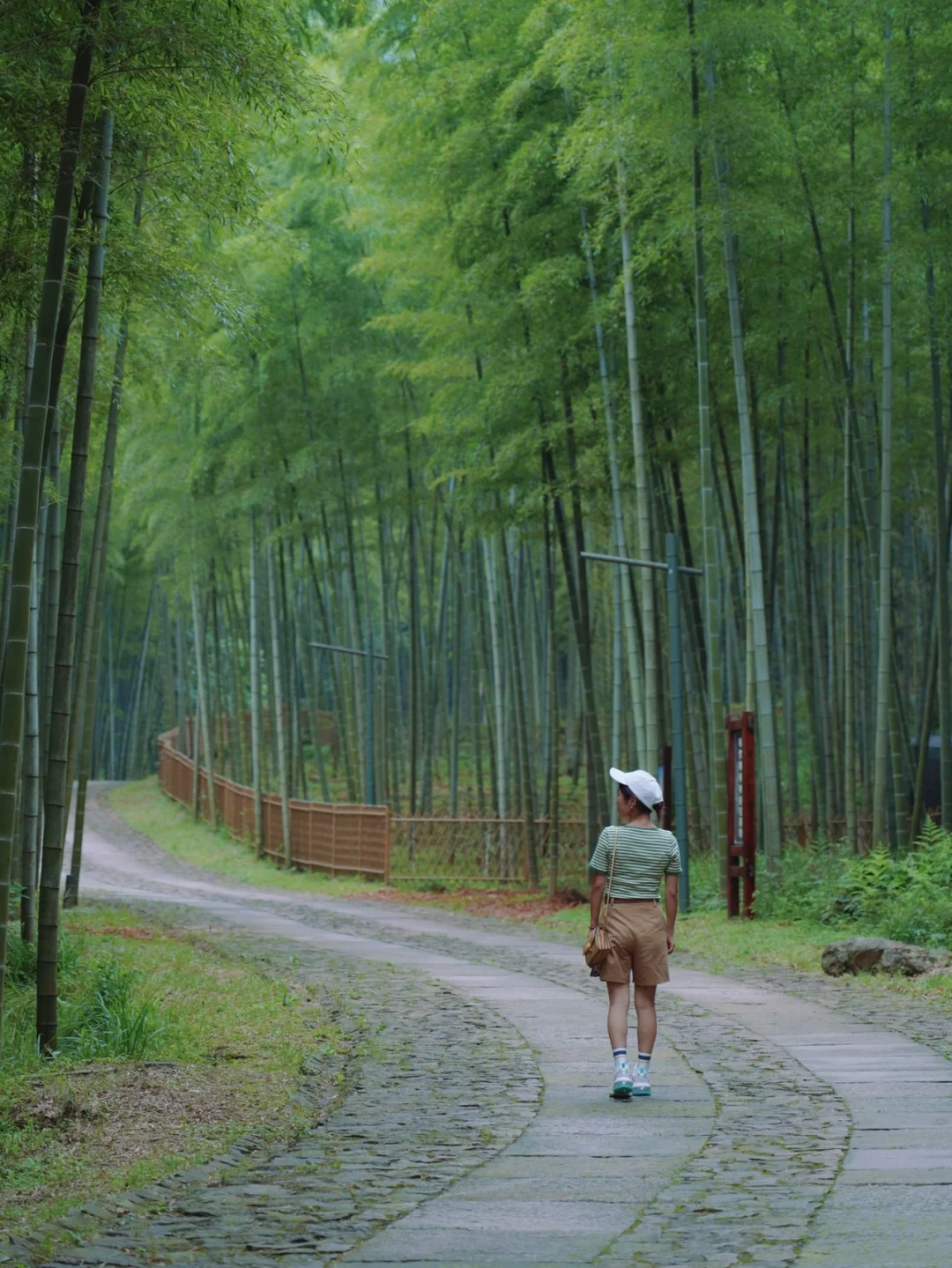 杭州小众避暑地，误入夏日26℃清凉竹海仙境