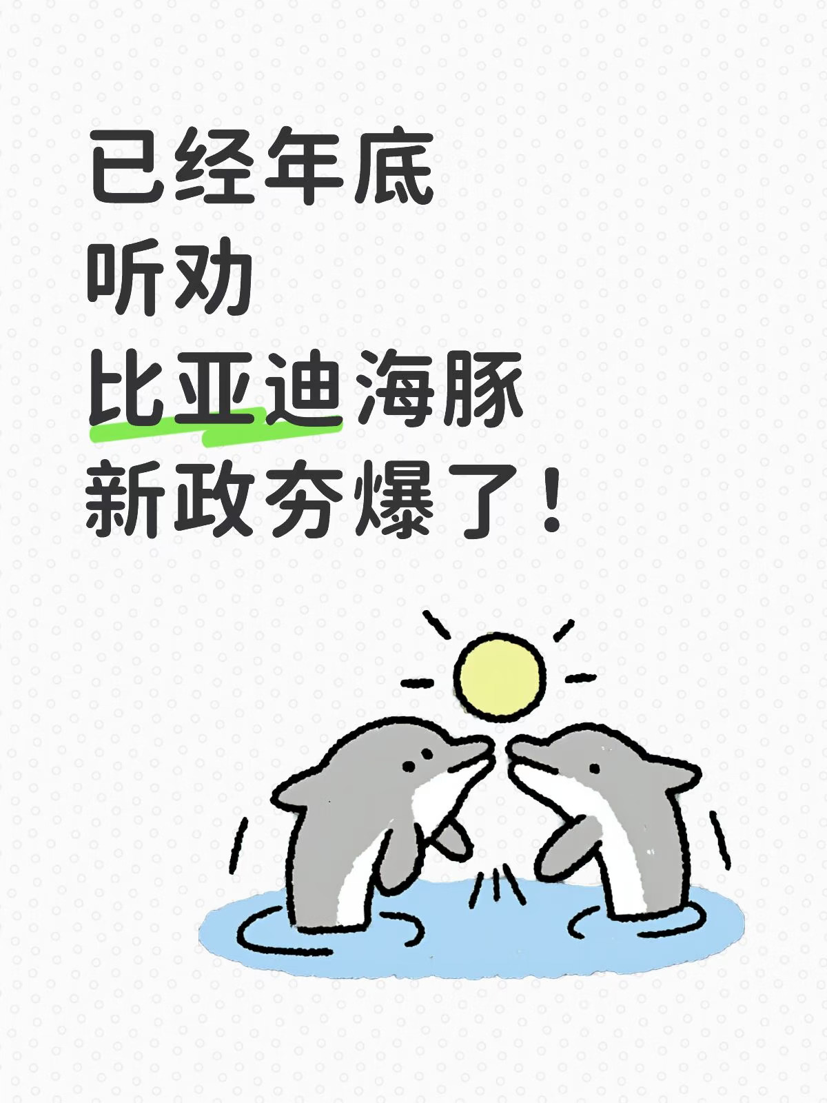 ⚡比亚迪海豚新政太香！好价第一波