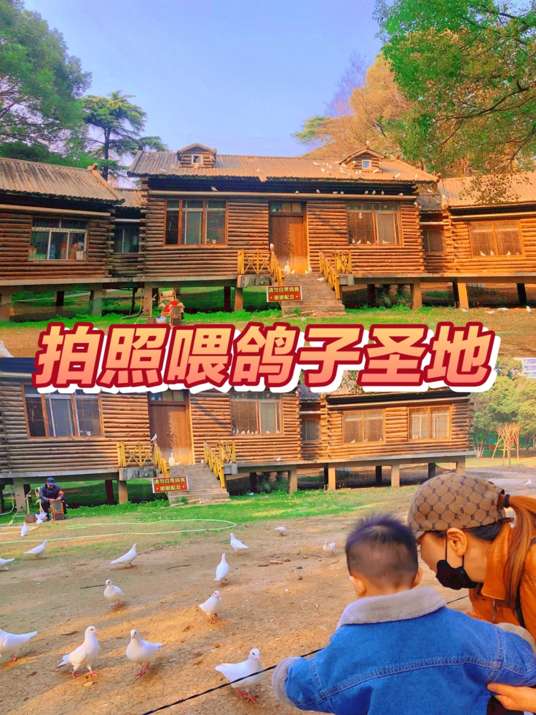 武汉遛娃第1️⃣4️⃣站—第一次喂鸽子🕊️