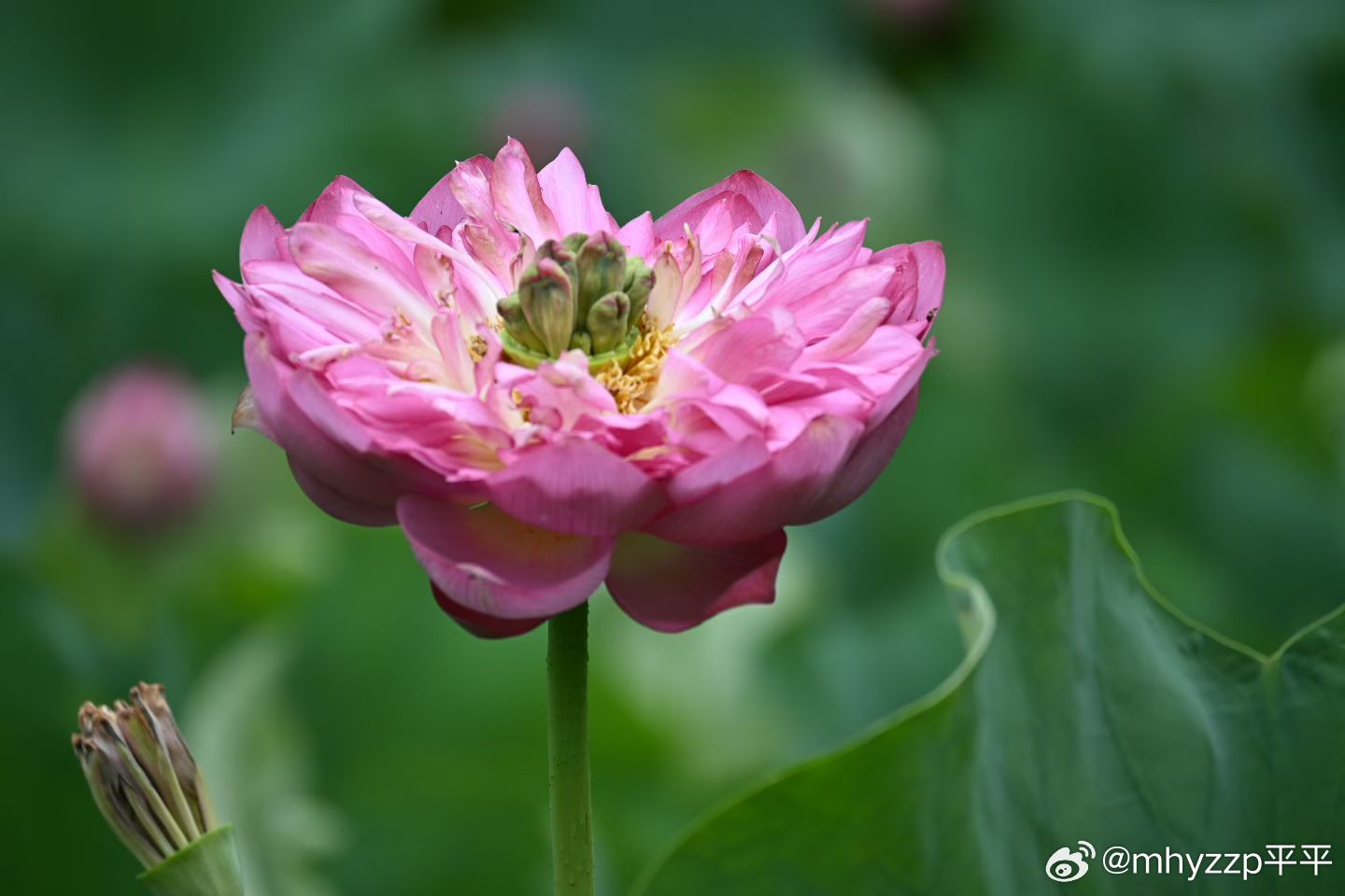 2026高考数学：中等生的困境与破局2026年高考数学落幕，很多中等生...
