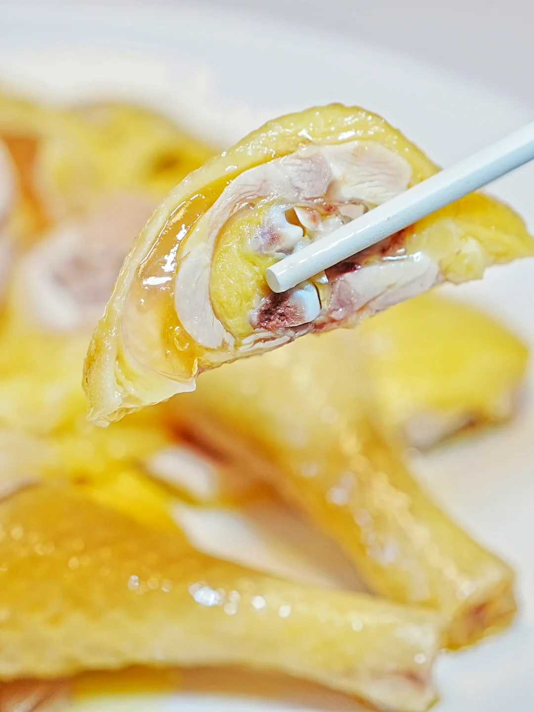 因为这只鸡来一趟广州旅游吧