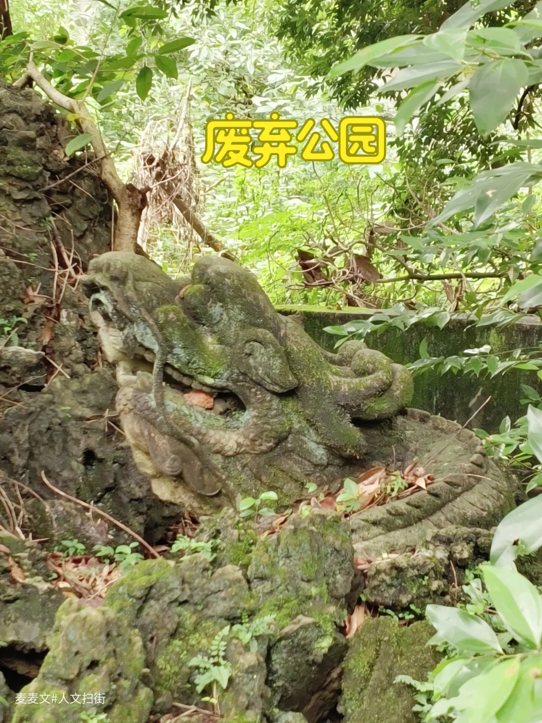 【合川】90年代废弃公园像被时间遗忘的梦