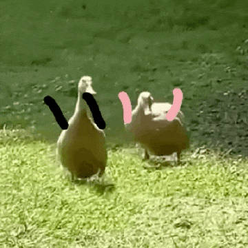 春节返深，从老家门口到另一门口，高铁需要七到八个小时，昨天顺风车，搭了...