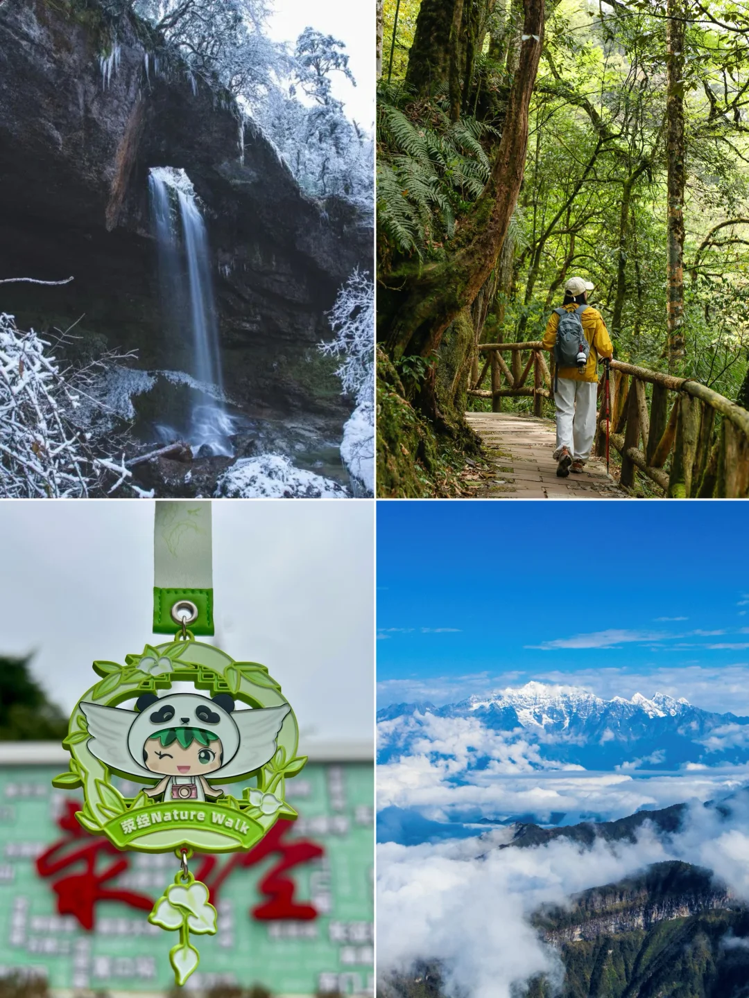 成都2h | 徒步两日游！闯入荥经的森系周末！