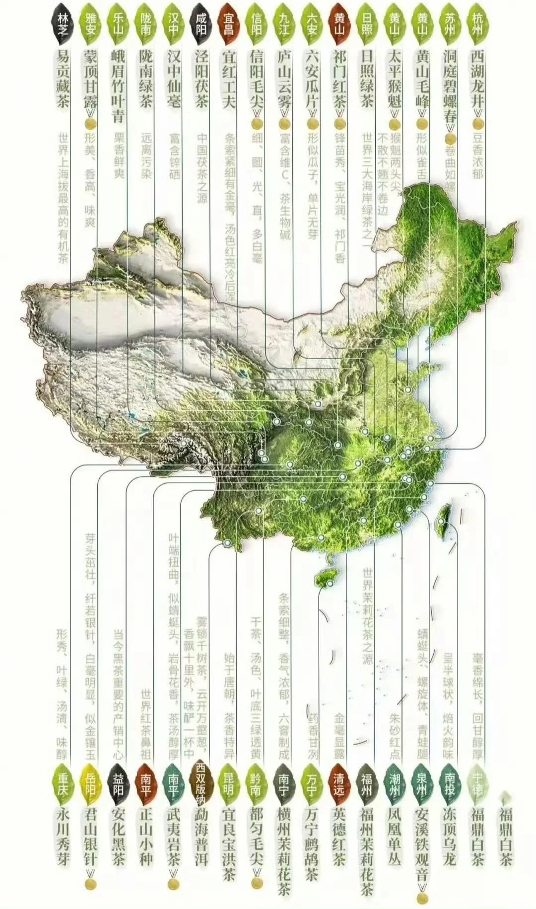 茶叶产地地图，你家乡的茶叶上榜了吗？