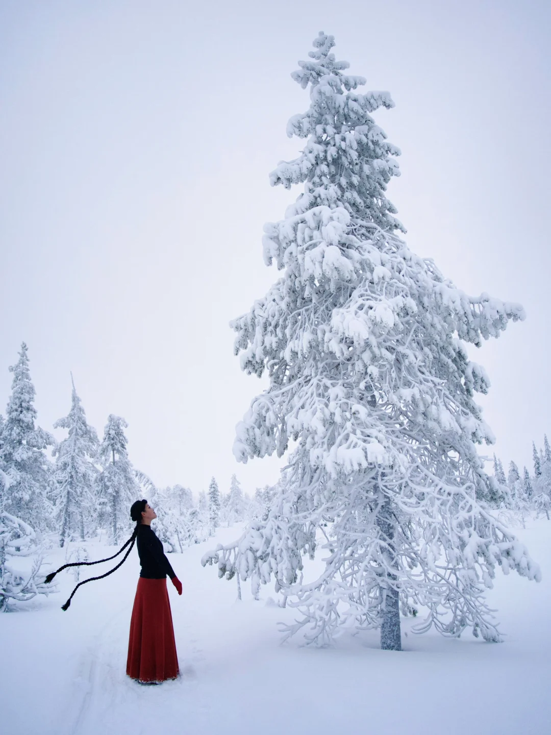 在芬兰，我找到了心中的冰雪北境