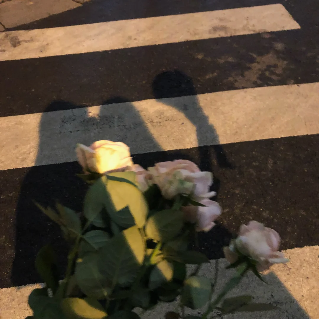 藏在影子里的花🌹