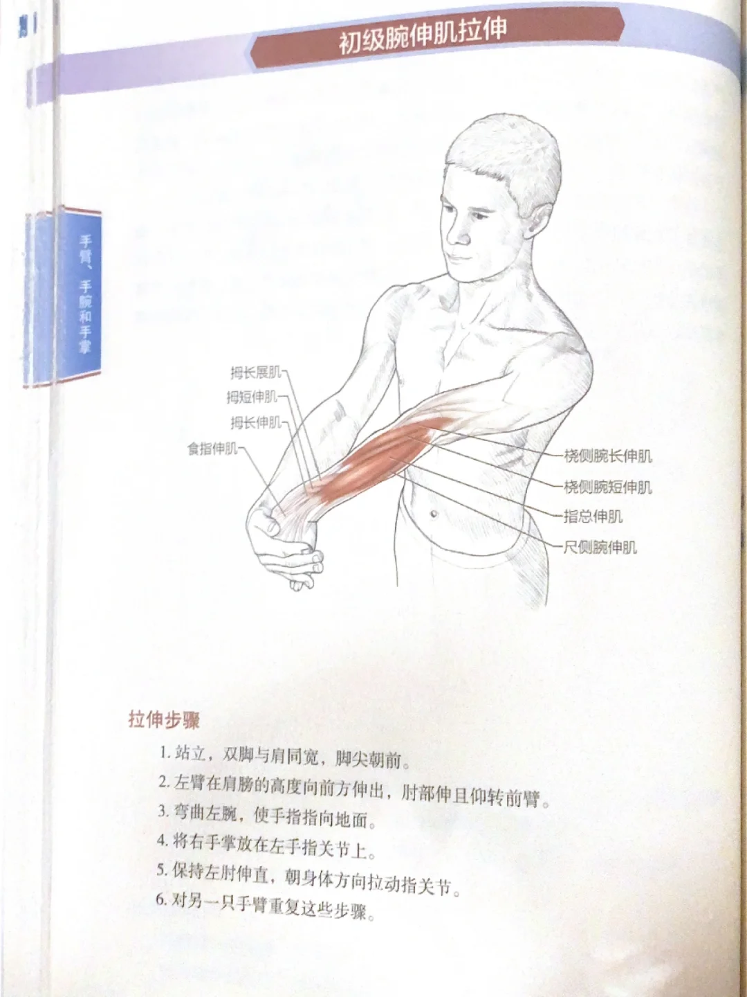 告别粗手臂、重塑线条/拉伸运动训练