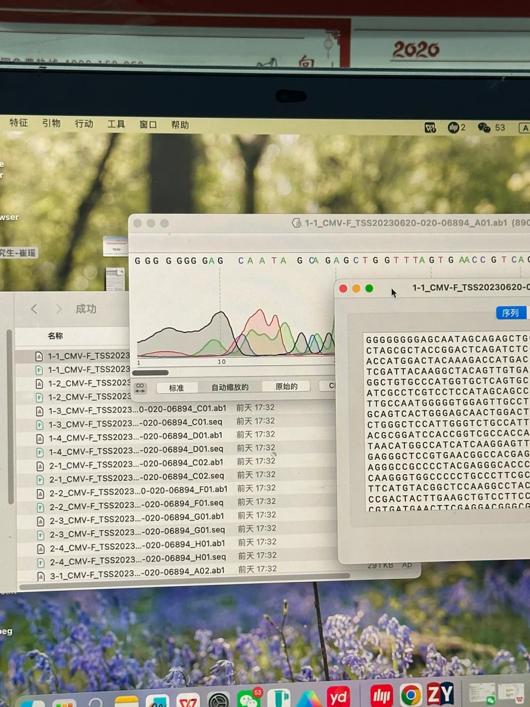 是谁啊克隆野生型gene的突变体全部成功