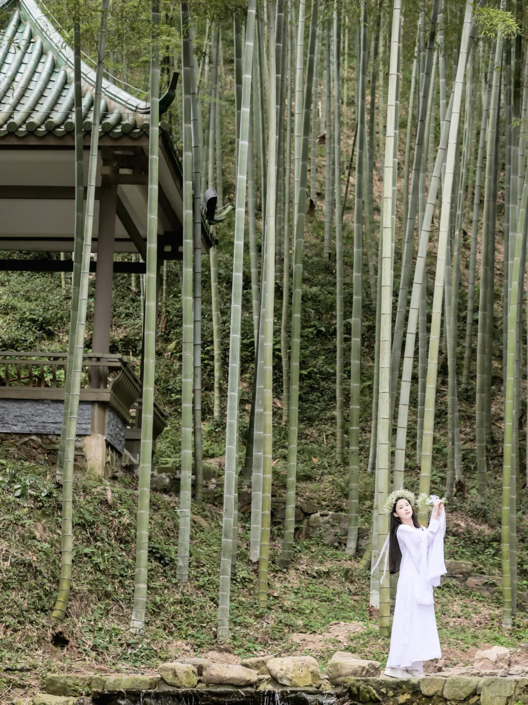 国庆必打卡！宜兴竹海升级归来，无痛爬山