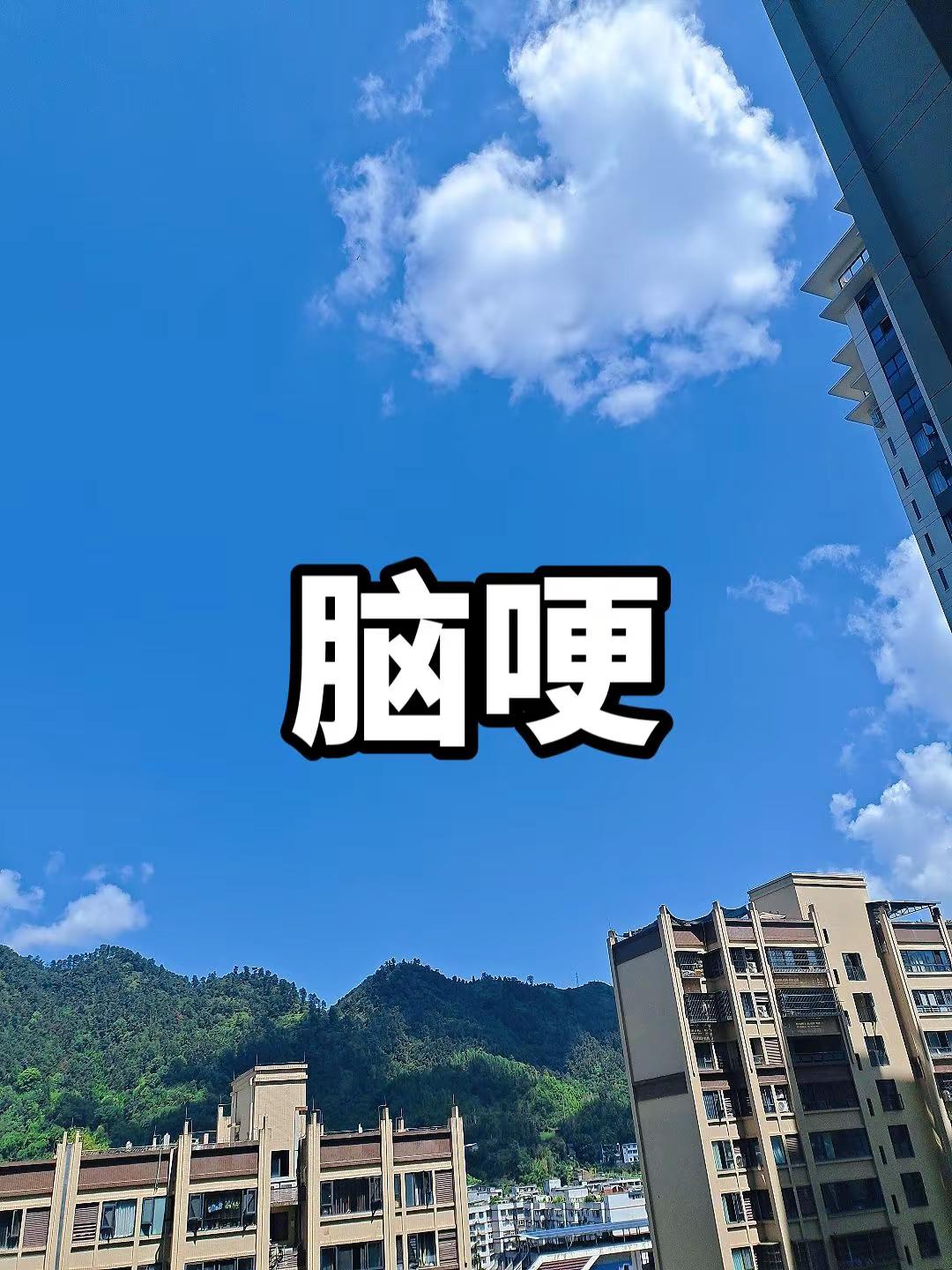 第二届
