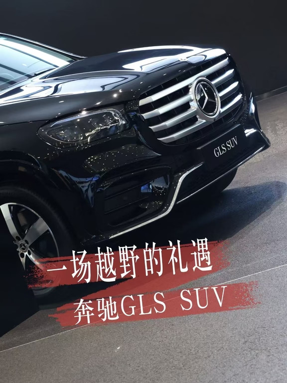 一场越野的礼遇 奔驰GLS SUV