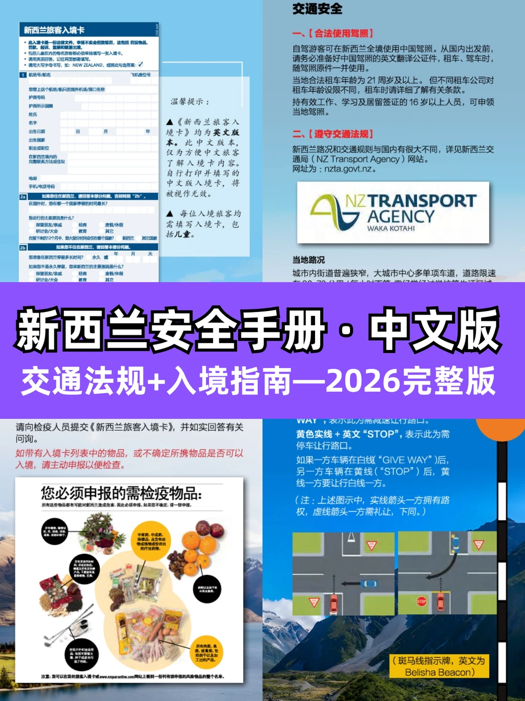 第一次新西兰旅行✅必看入境指南+中文交规