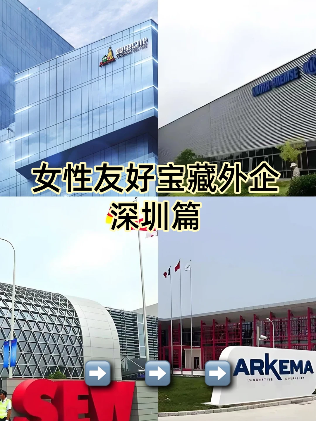 深圳低门槛女性友好外企