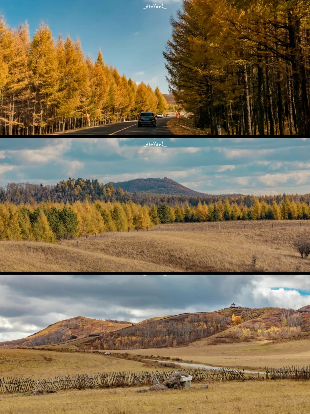 秋天拍了拍我｜说跟夏天道别吧🍂快来看我🧡