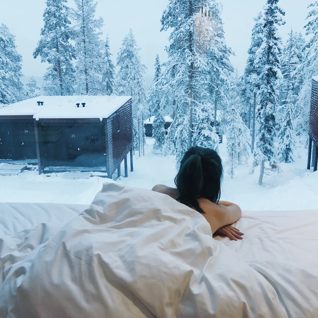 玻璃屋之光❄️一辈子要住一次树屋酒店